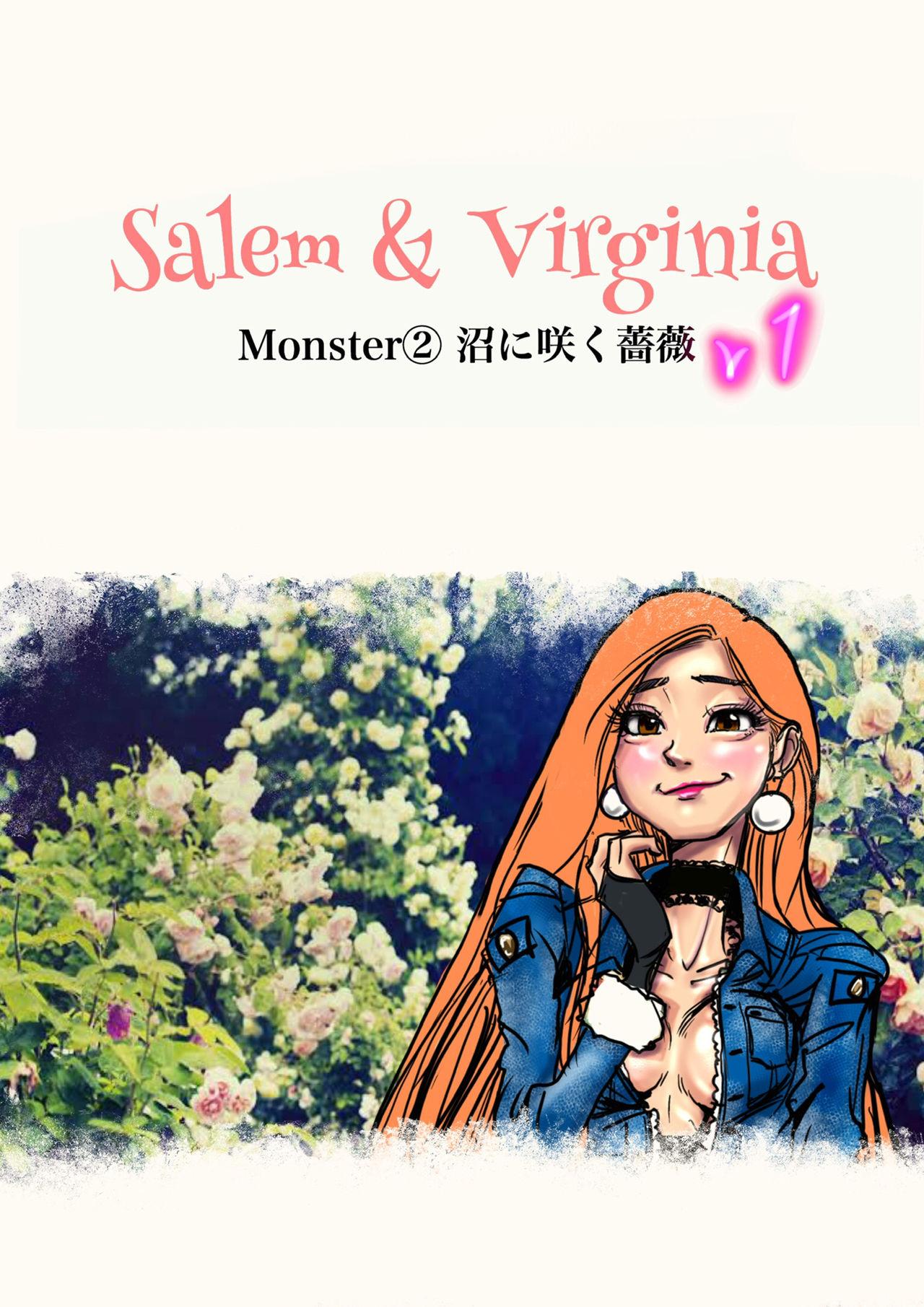 Salem & Virginia 13