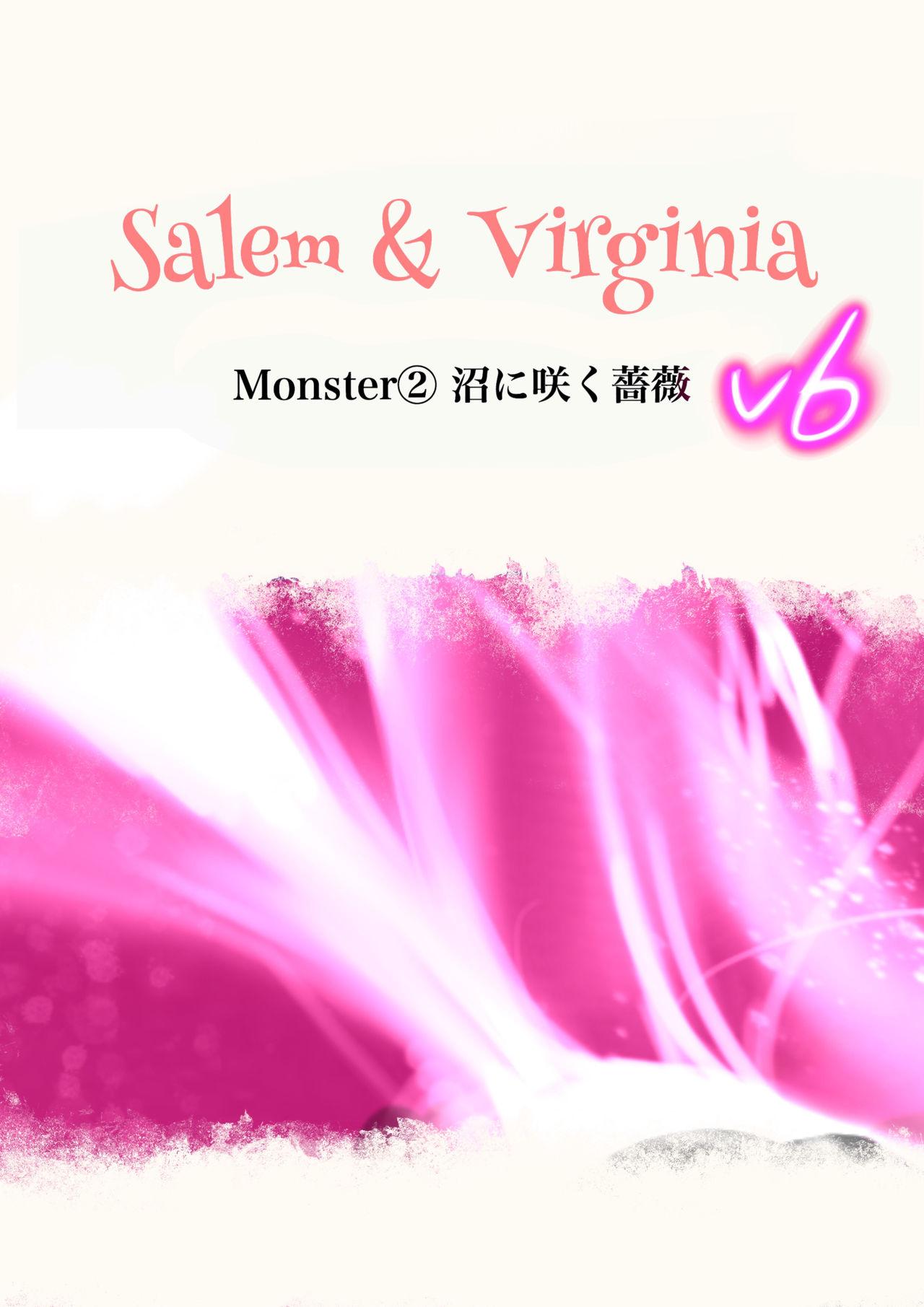 Salem & Virginia 23