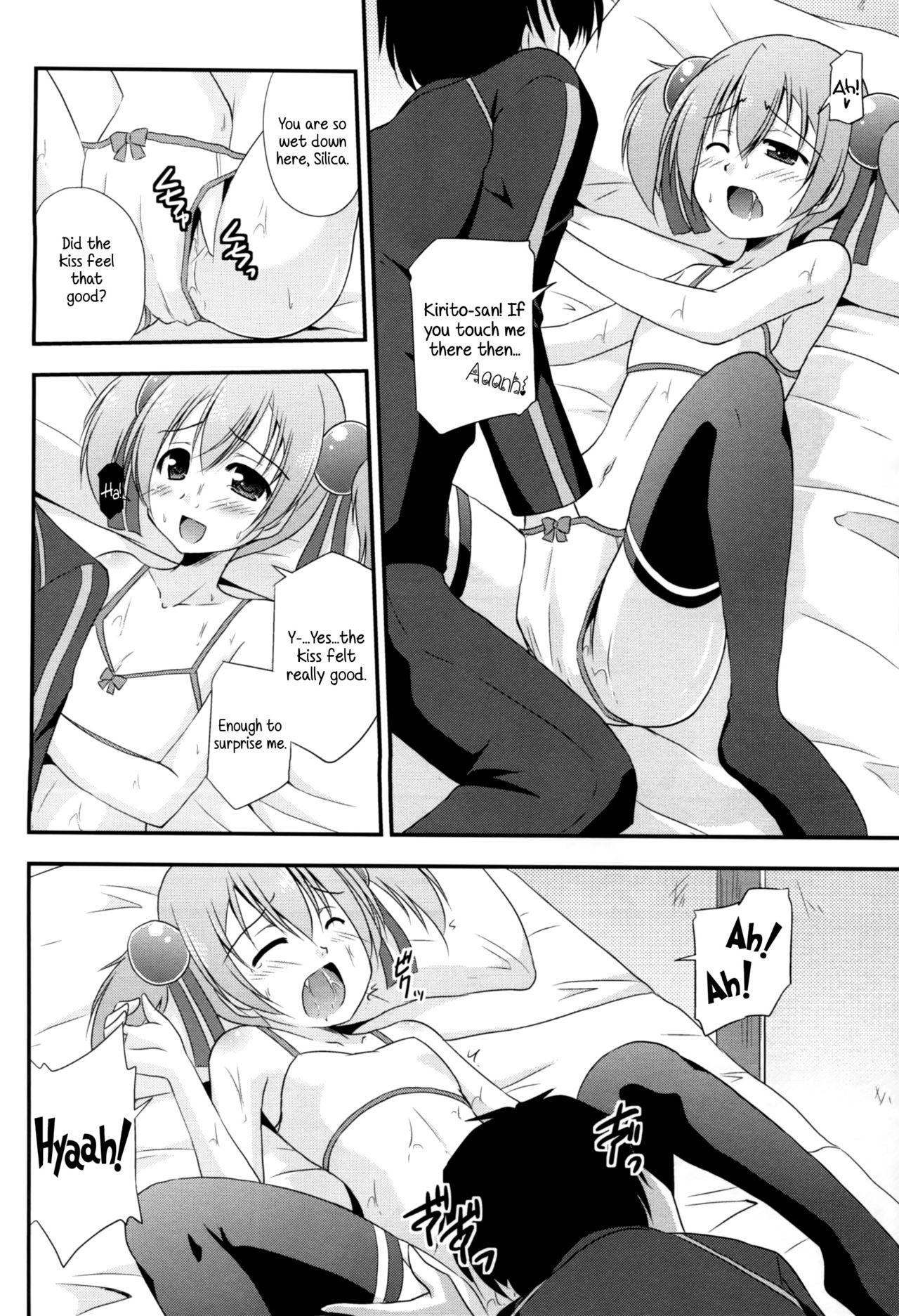 Silica Route Online 14