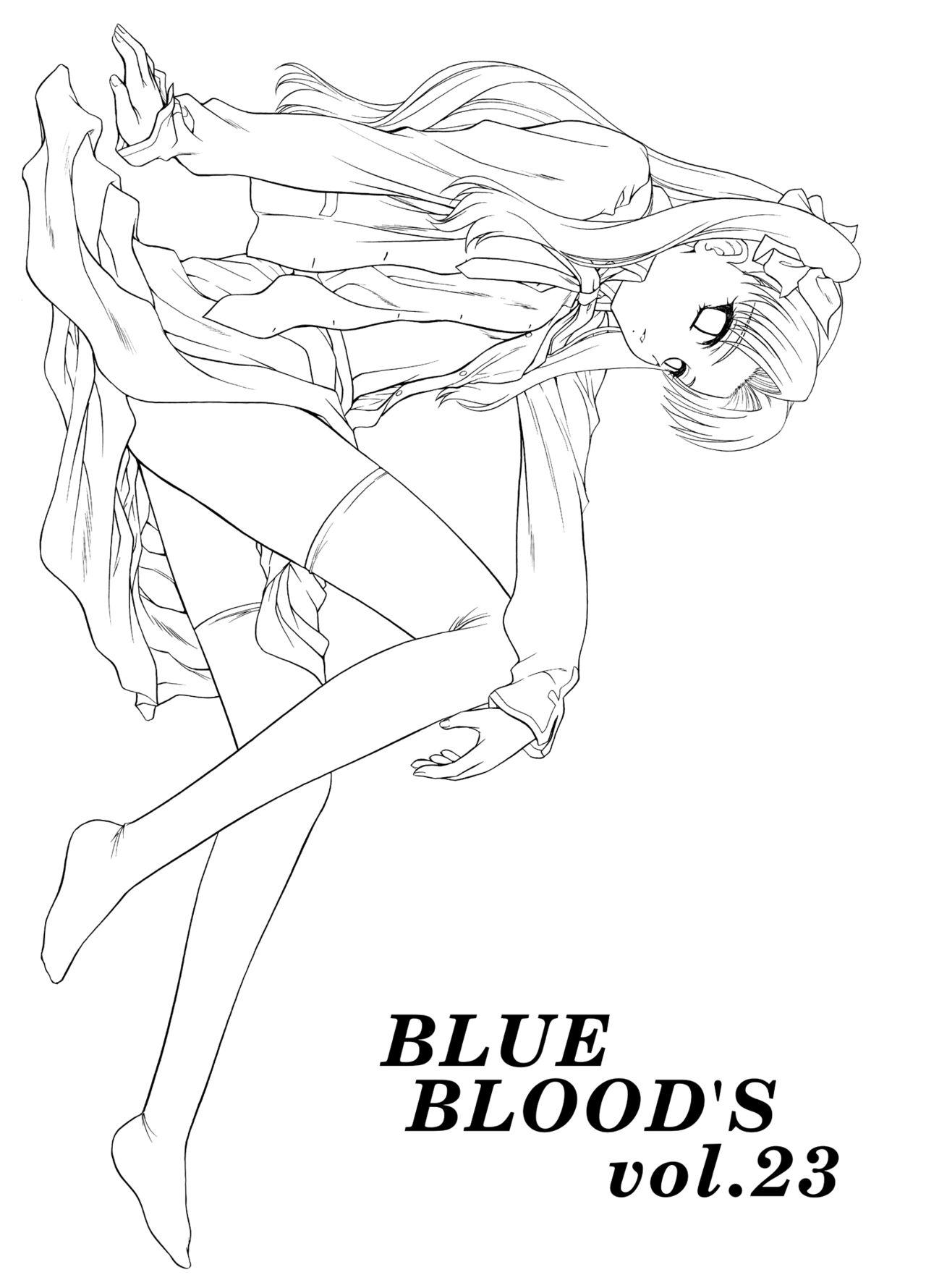 Free Rough Sex BLUE BLOOD'S Vol. 23 - Fate stay night Vergon - Picture 2