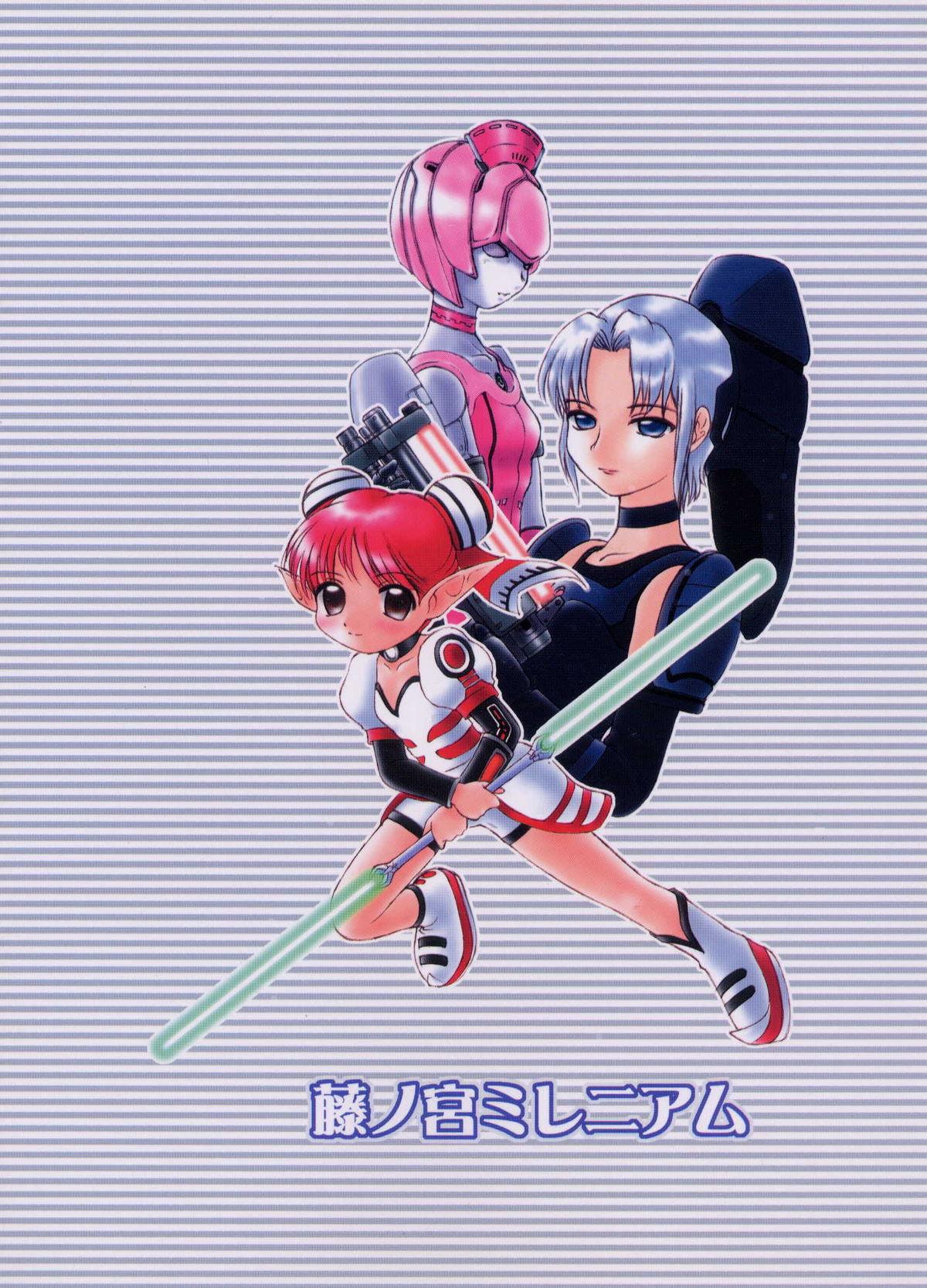 PSO fanbook edition 2 1