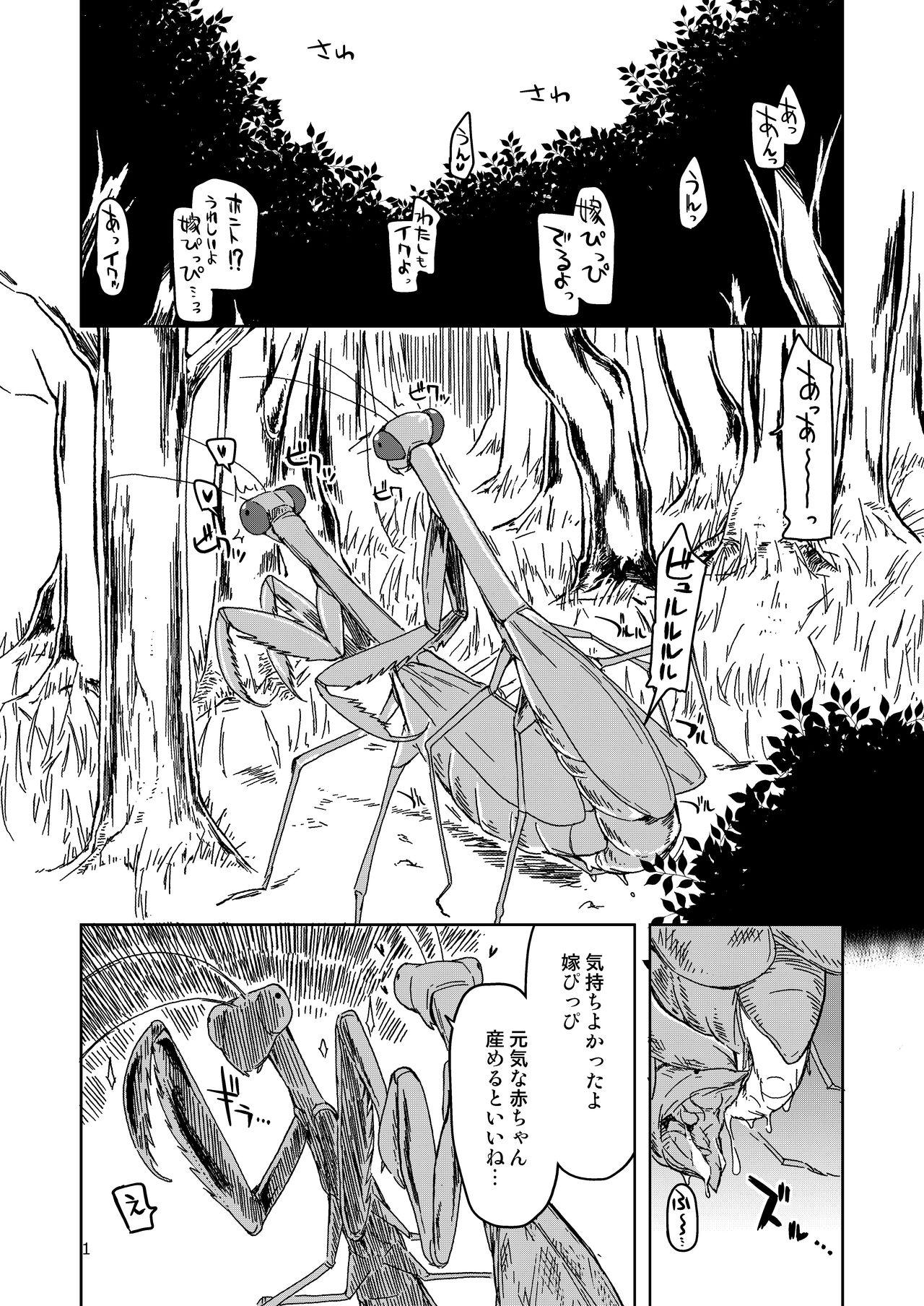 Holes Dosukebe Elf no Ishukan Nikki Matome 2 - Original Class Room - Page 2