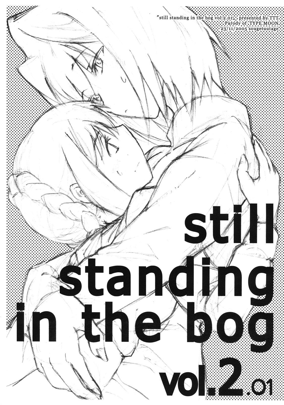 Double Penetration still standing in the bog vol.2 - Fate stay night Flaca - Page 1