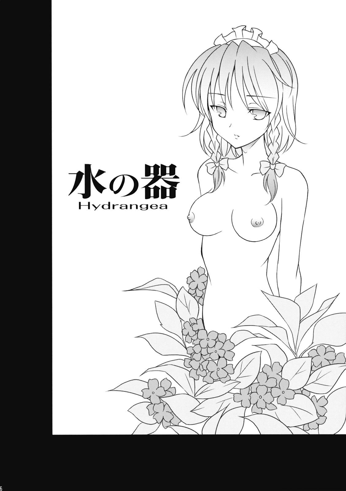 Mizu no Utsuwa - Hydrangea 5