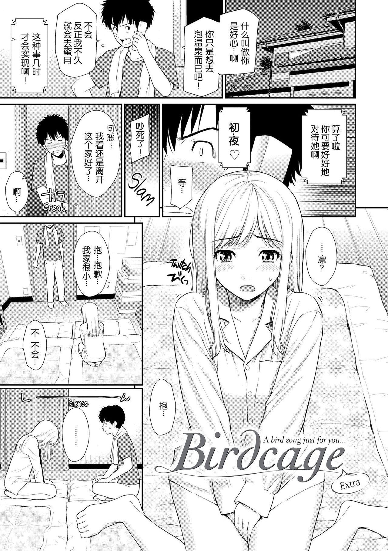 Birdcage 20