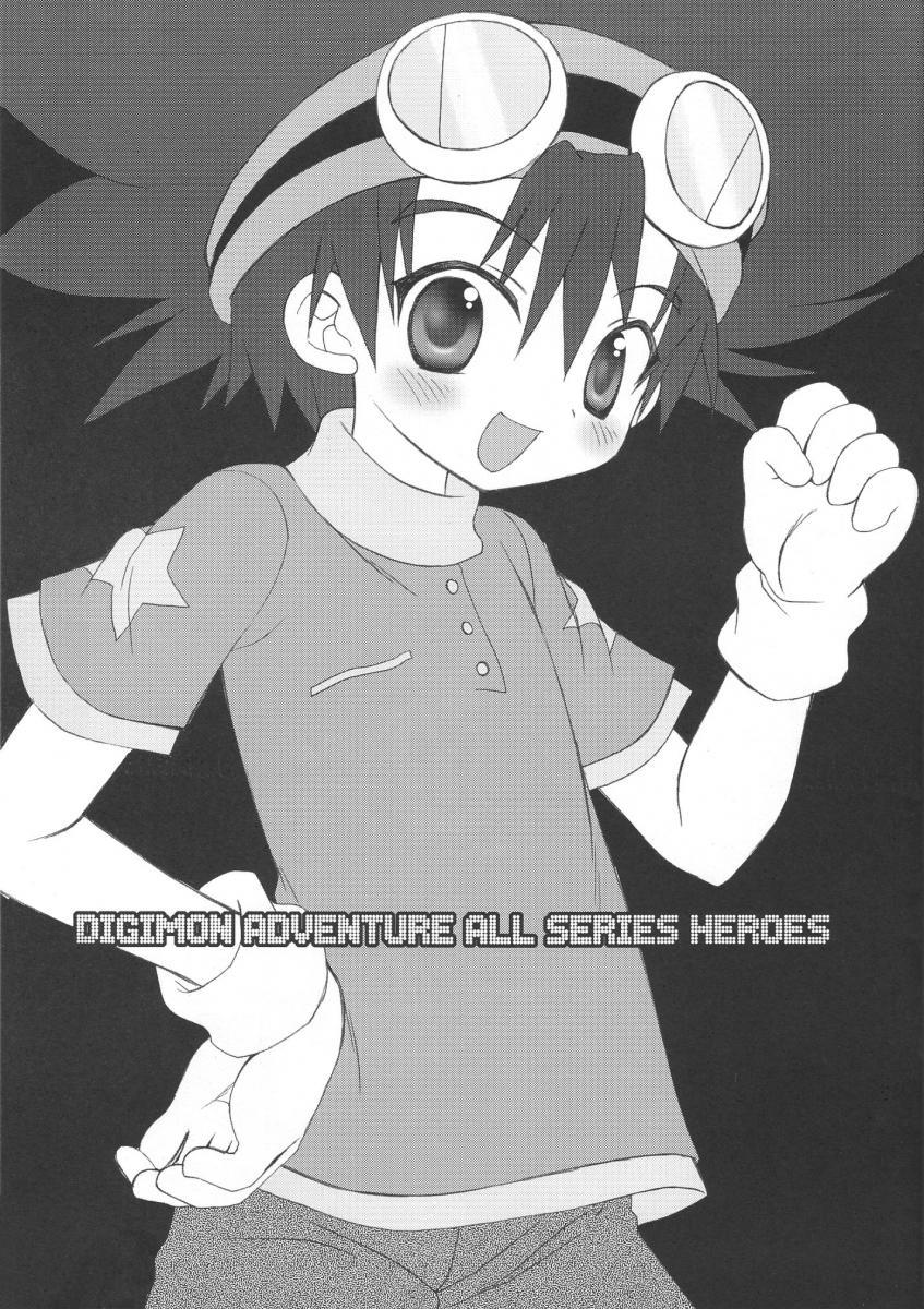 Domina Digimon Adventure All Series Heroes - Digimon adventure Brother - Page 2