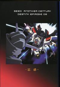 Amateur SEED ANOTHER CENTURY D.E 6- Gundam seed destiny hentai Car Sex 4