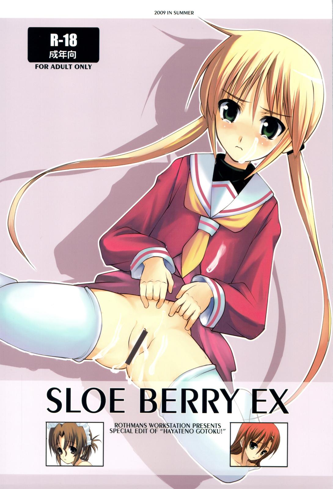 SLOE BERRY EX 0