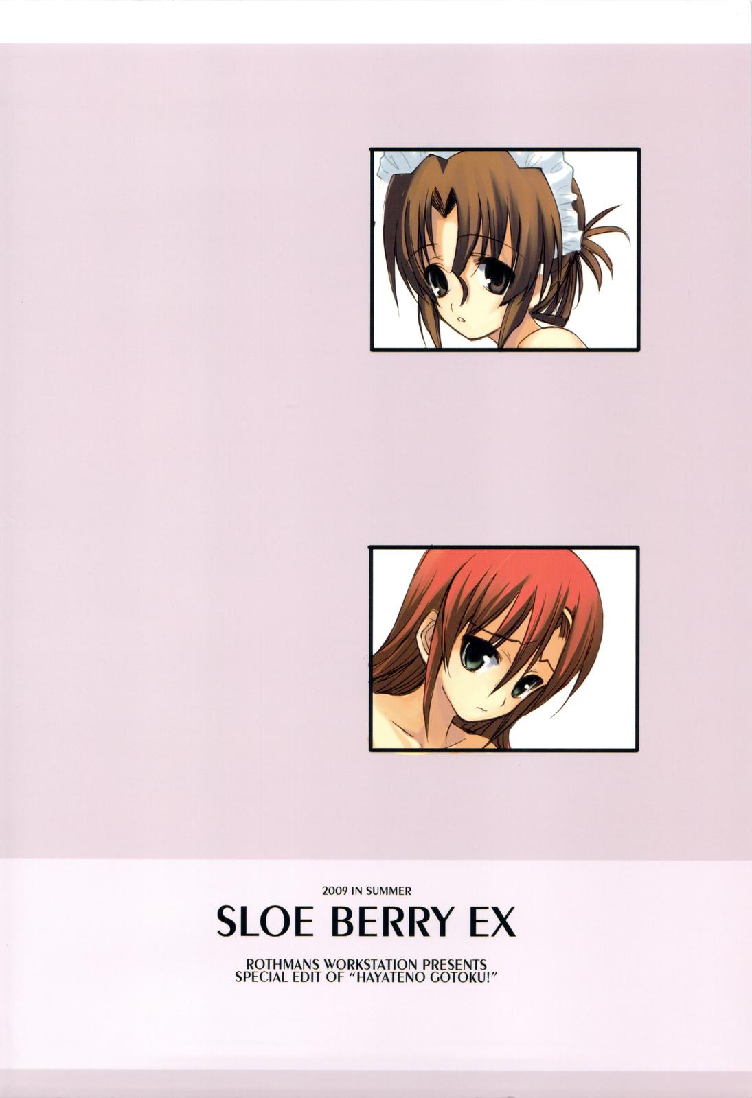 SLOE BERRY EX 113