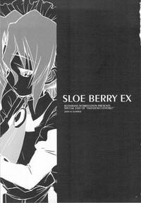 SLOE BERRY EX 2