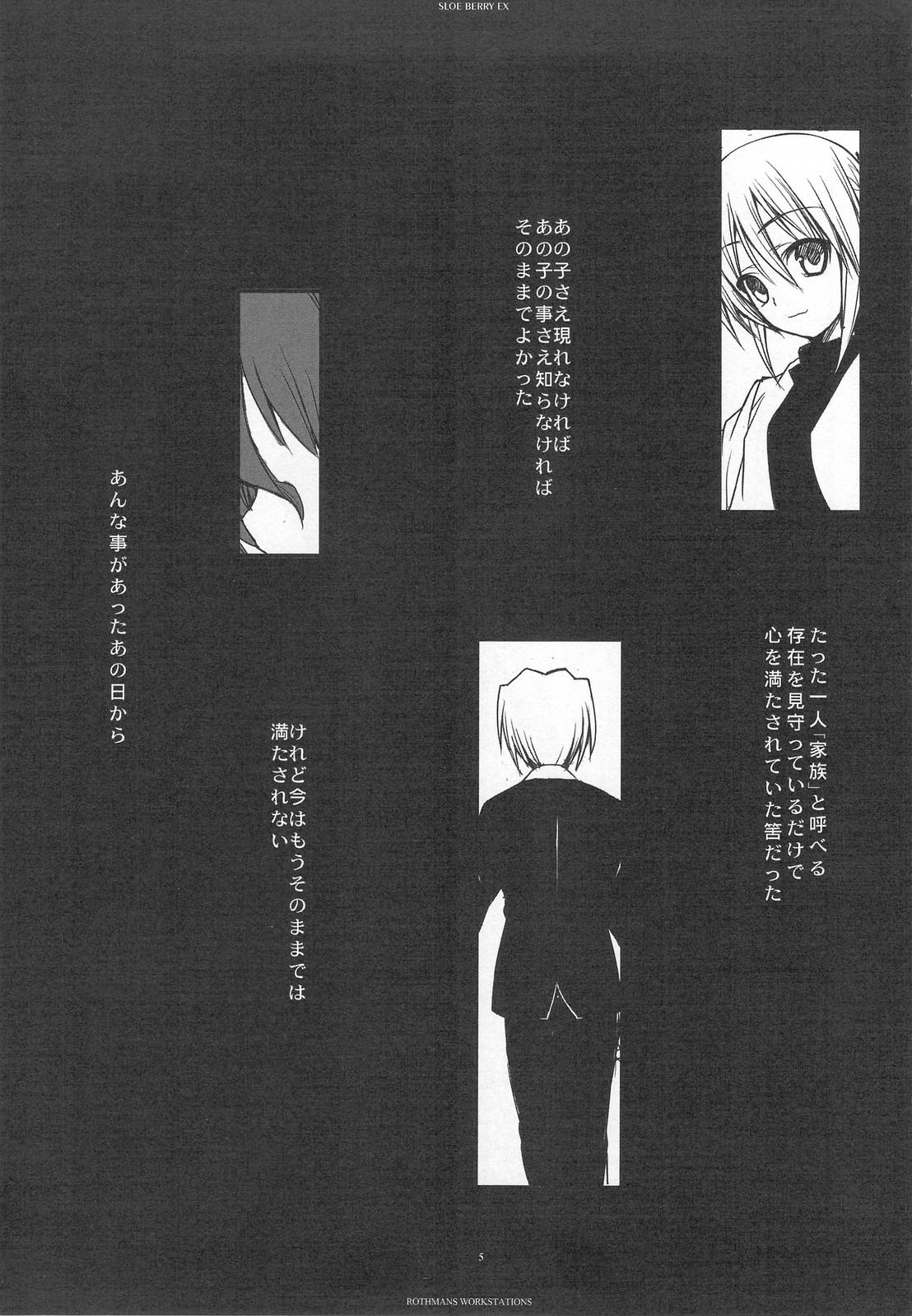 Students SLOE BERRY EX - Hayate no gotoku  - Page 4