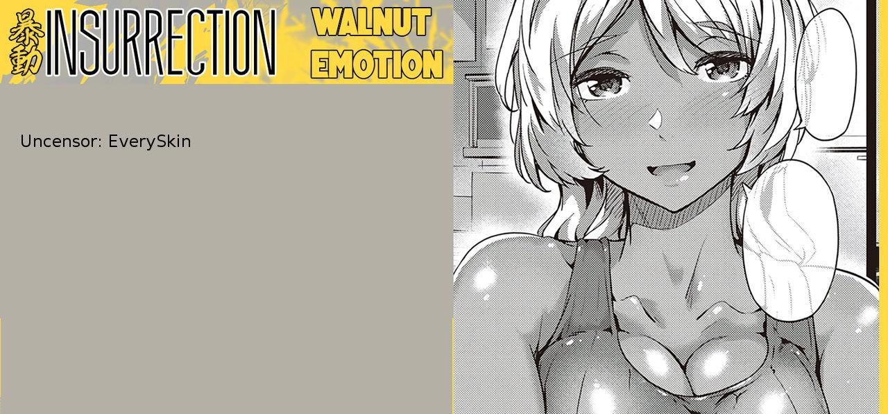Kurumi Joucho | Walnut Emotion 25