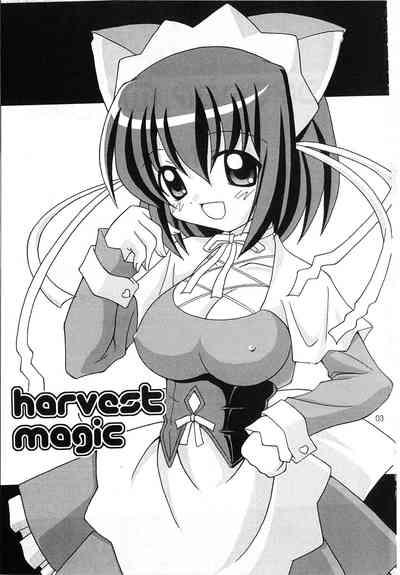 harvest Magic 3