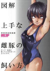 HD Zukai Jyouzuna Mesubuta no Kaikata- Amagami hentai Anal Sex 1