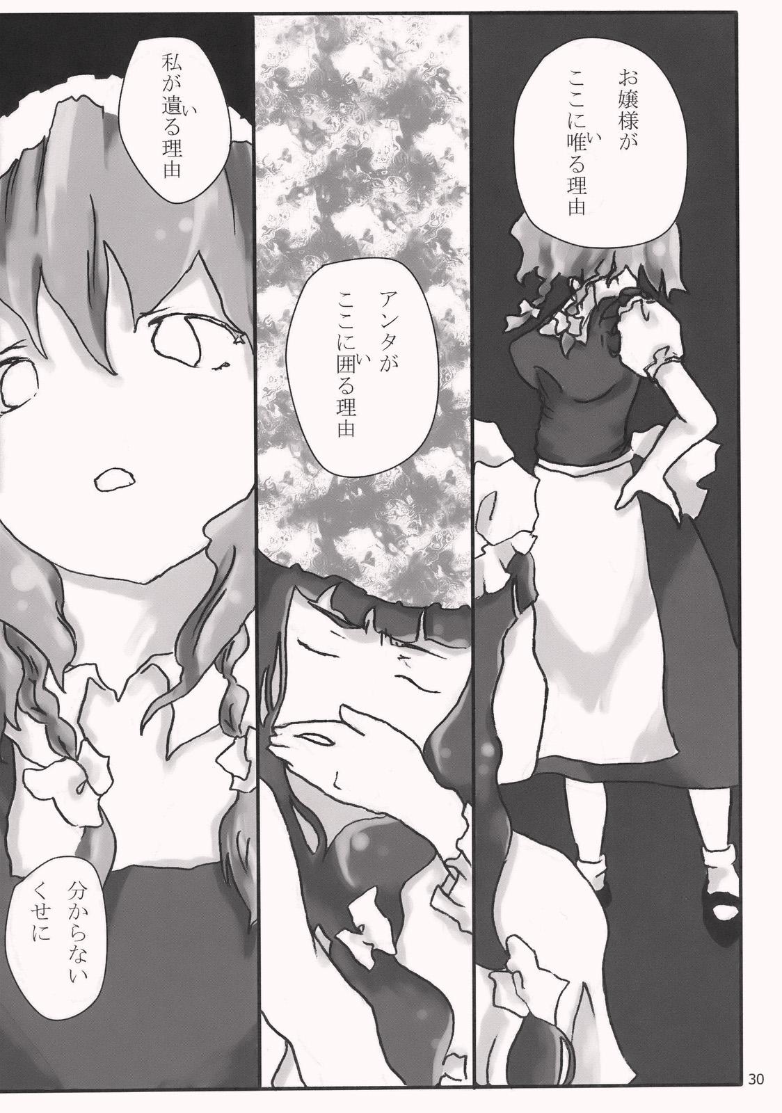 Gensokyo x Patchouli 14