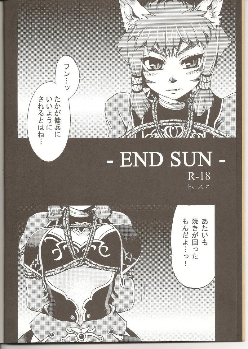 END SUN 4