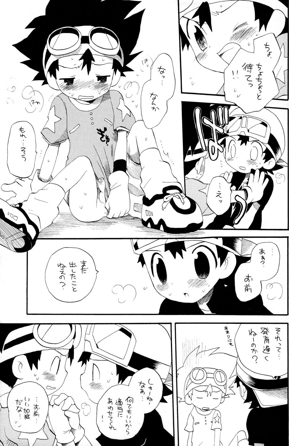 Amateur Tai Taku Tai - Digimon adventure Digimon frontier Brasileira - Page 13