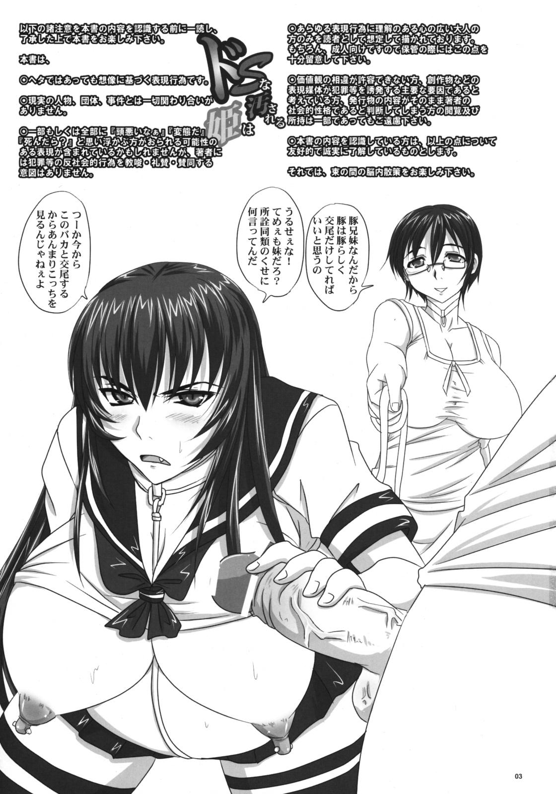 Chunky (C76) [Nozarashi (Nozarashi Satoru)] Do-S na Hime wa Kegasareru Haji no Kisaki - Soukan Yuugi Gay Skinny - Page 2