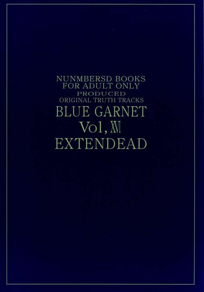 BLUE GARNET XVI EXTENDEAD 41