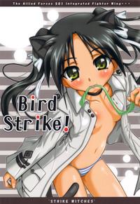 Bird Strike! 1