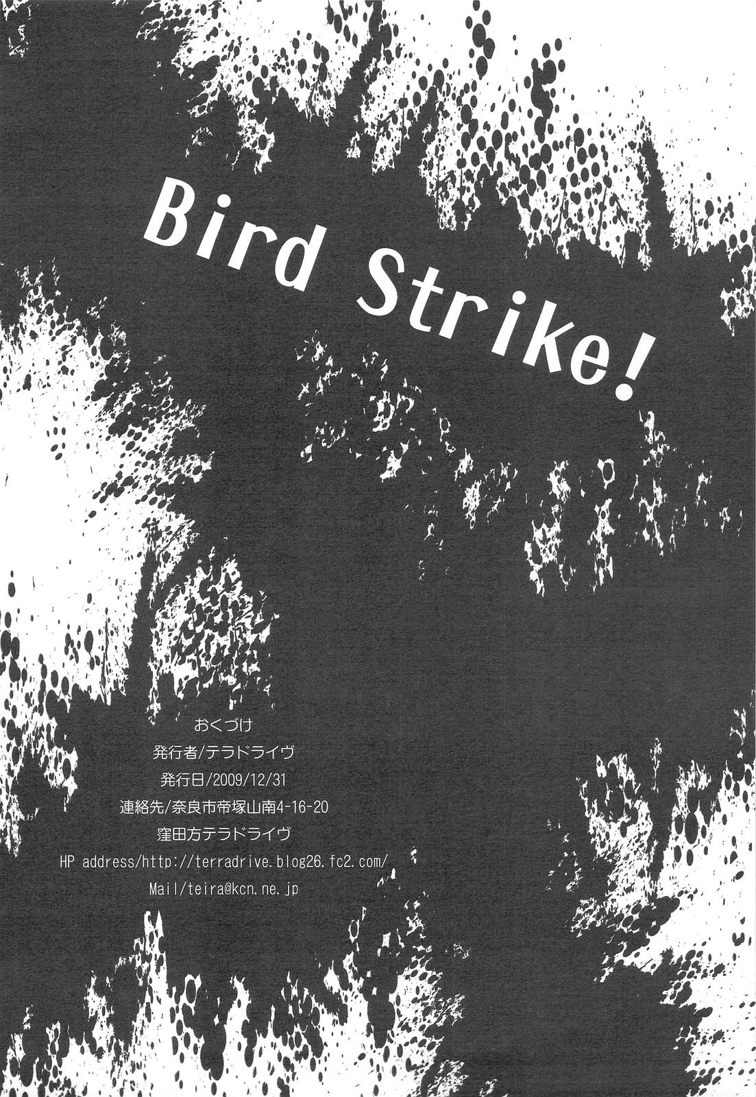 Bird Strike! 25