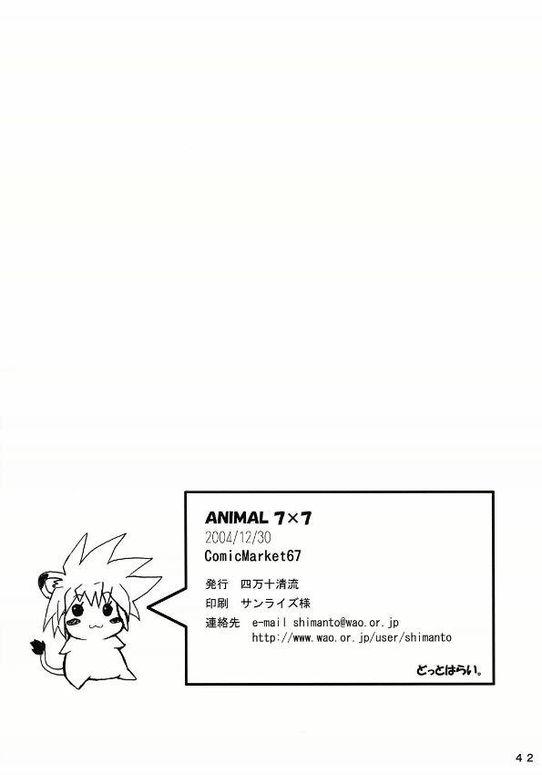 Animal 7X7 40