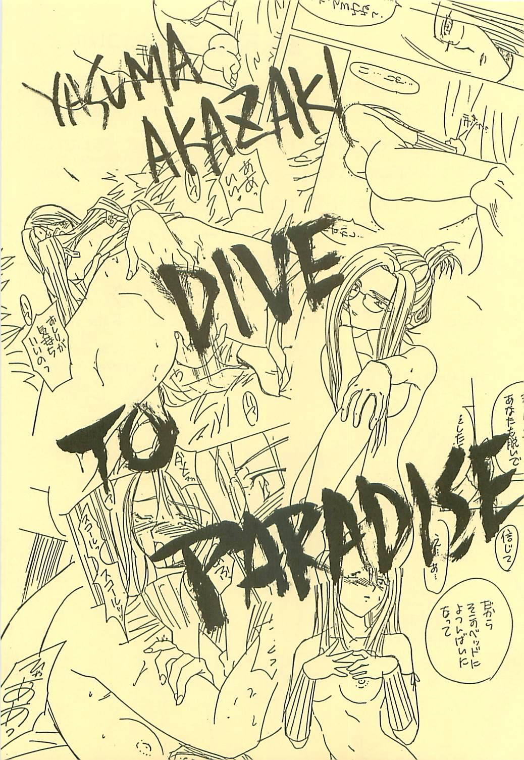 DIVE TO PARADISE 1