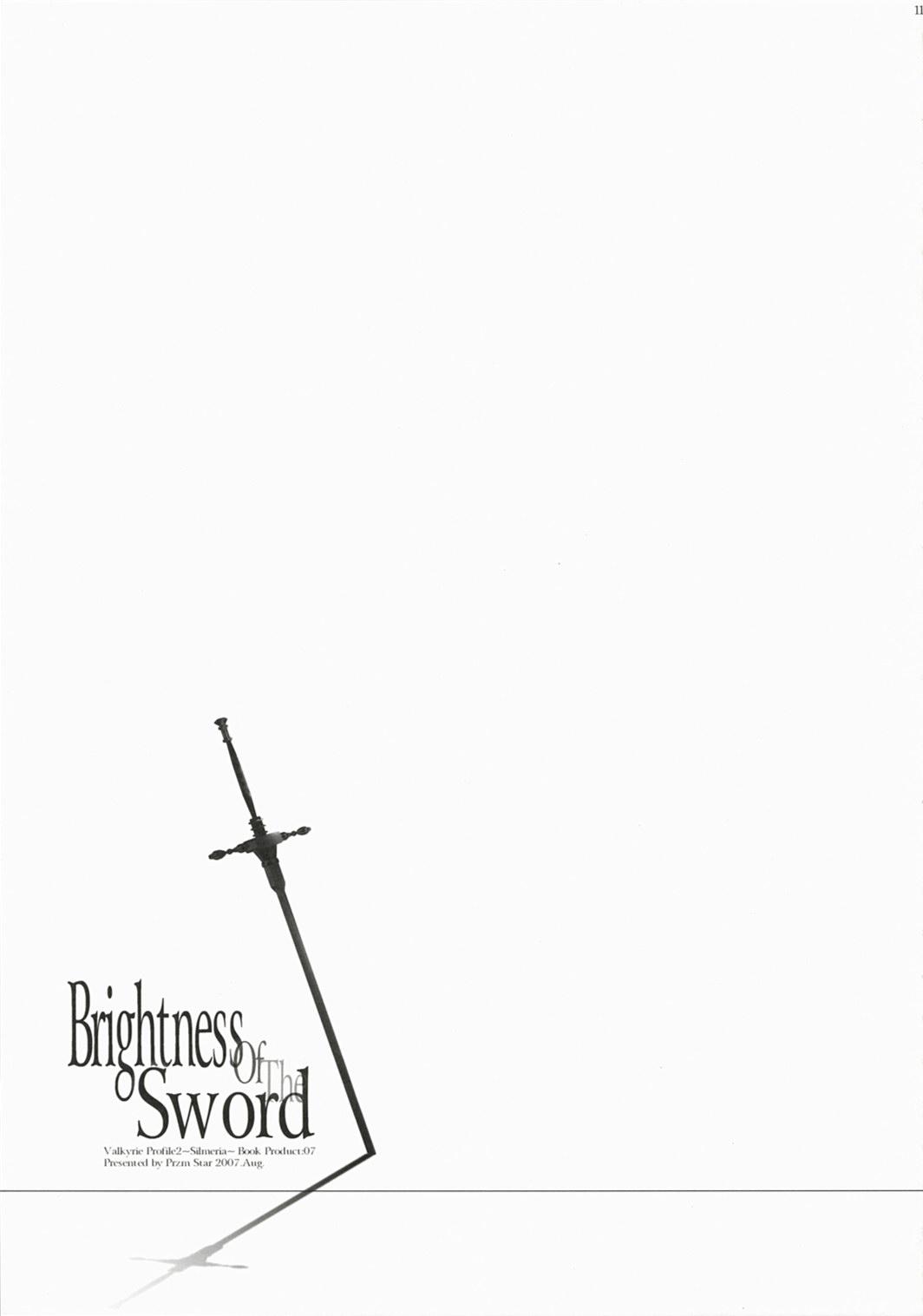Brightness of The Sword 8