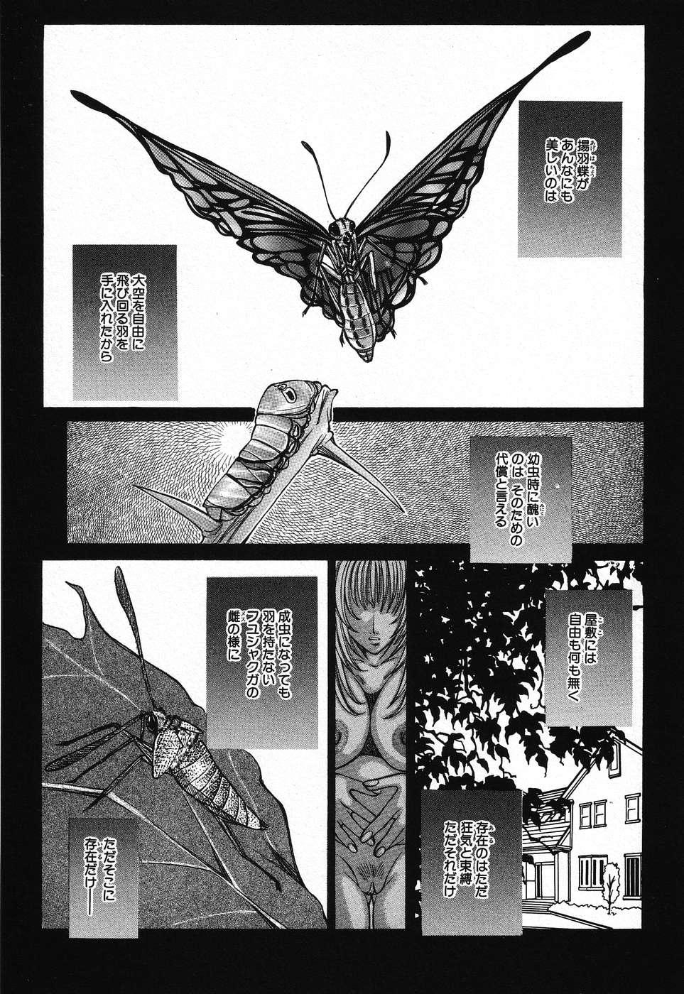 Kindan Kanin Vol.08 ～ Gibo Youjo Soukan ～ 52