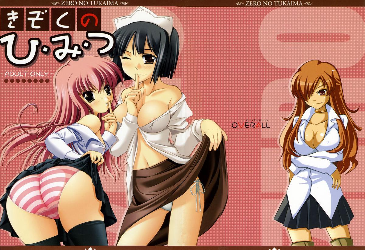 Vergon Kizoku no Himitsu - Zero no tsukaima Clothed Sex - Picture 2