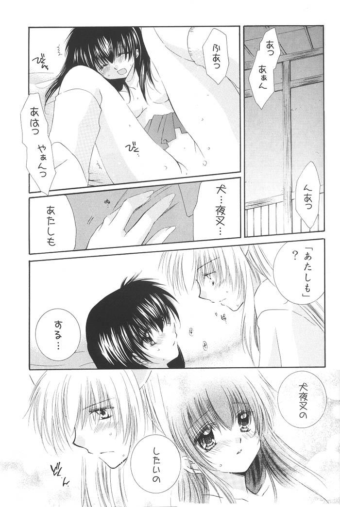 Swing Honey Honey - Inuyasha Blackdick - Page 14