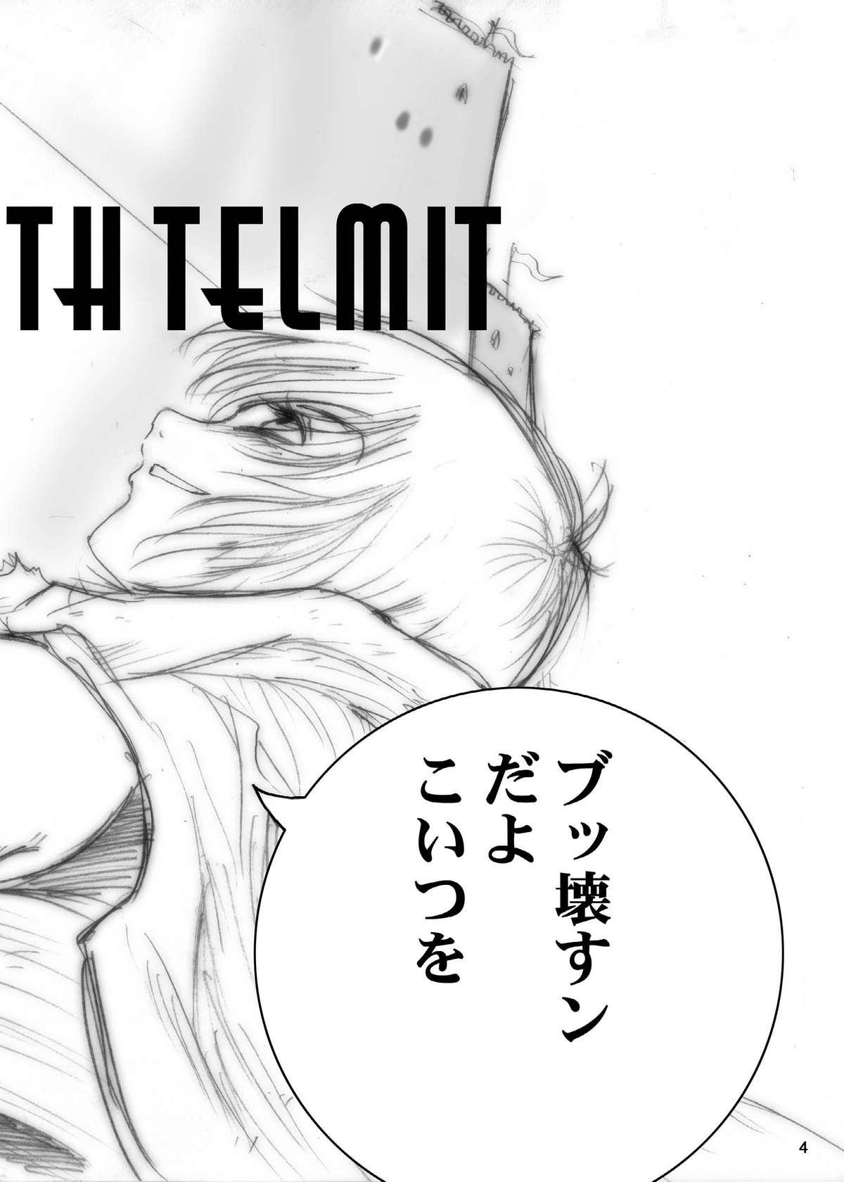 Interview with Telmit 3