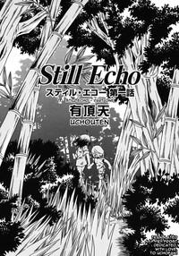 Still echo 1