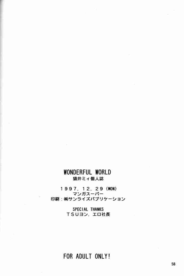 Wonderful World 56