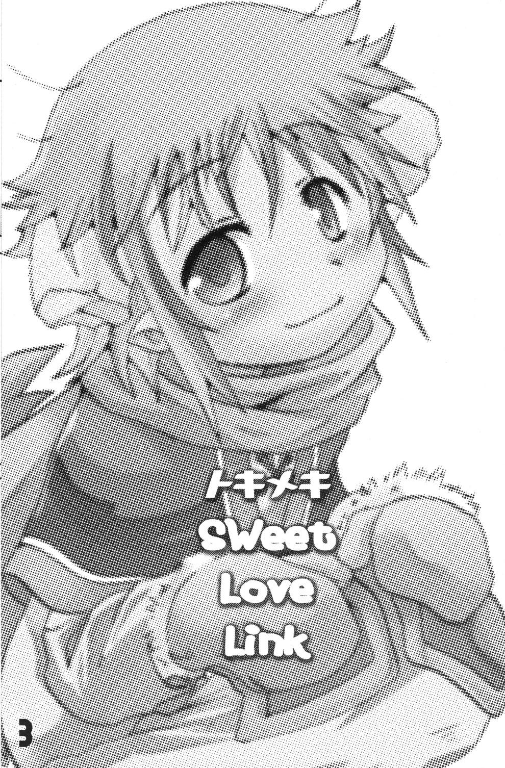 Tokimeki Sweet Love Link 2