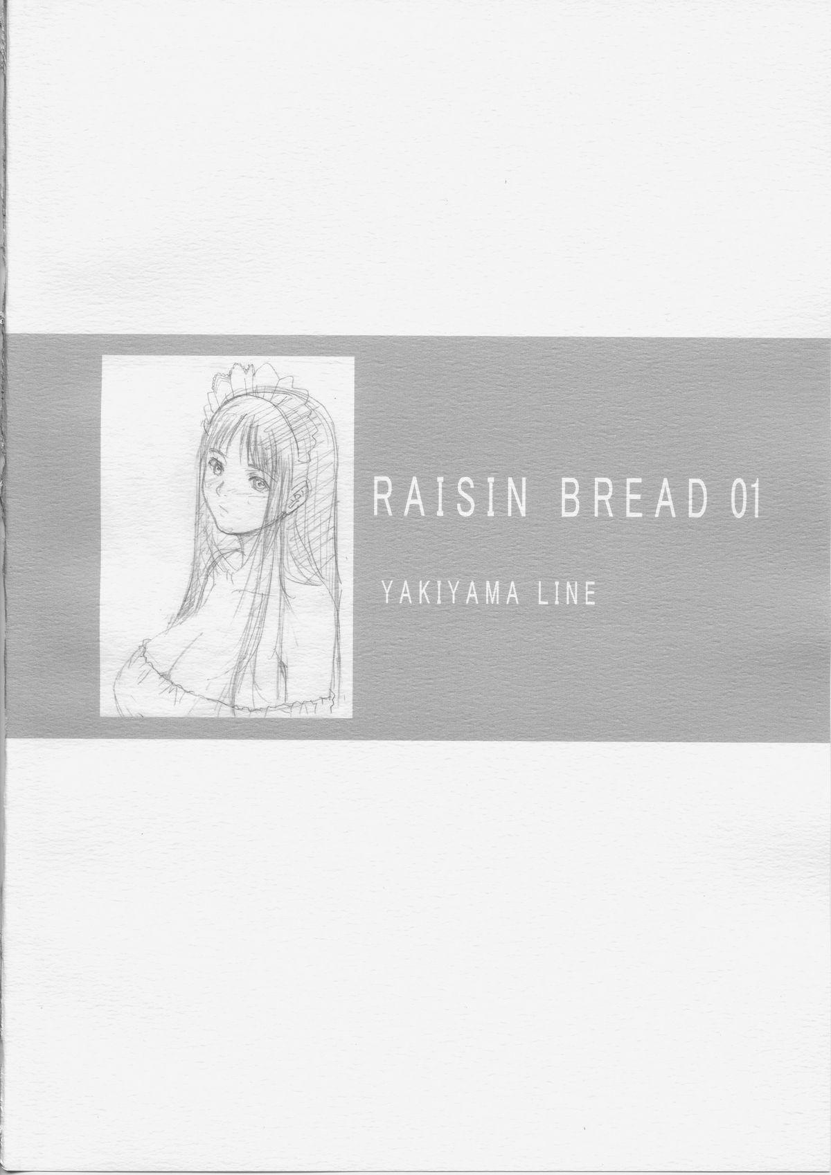 Raisin Bread 01 33