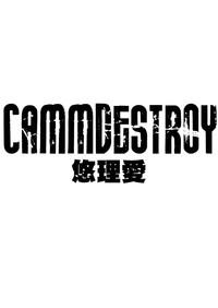 CAMMDESTROY 2