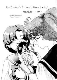 RealGirls Shounen Yuuichirou Vol. 11 Sailor Moon Gay Longhair 6