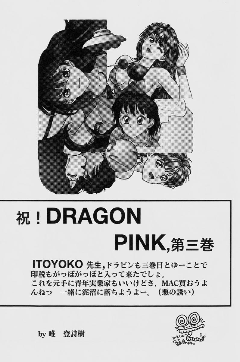 Dragon Pink THE LAST FIGHT 173
