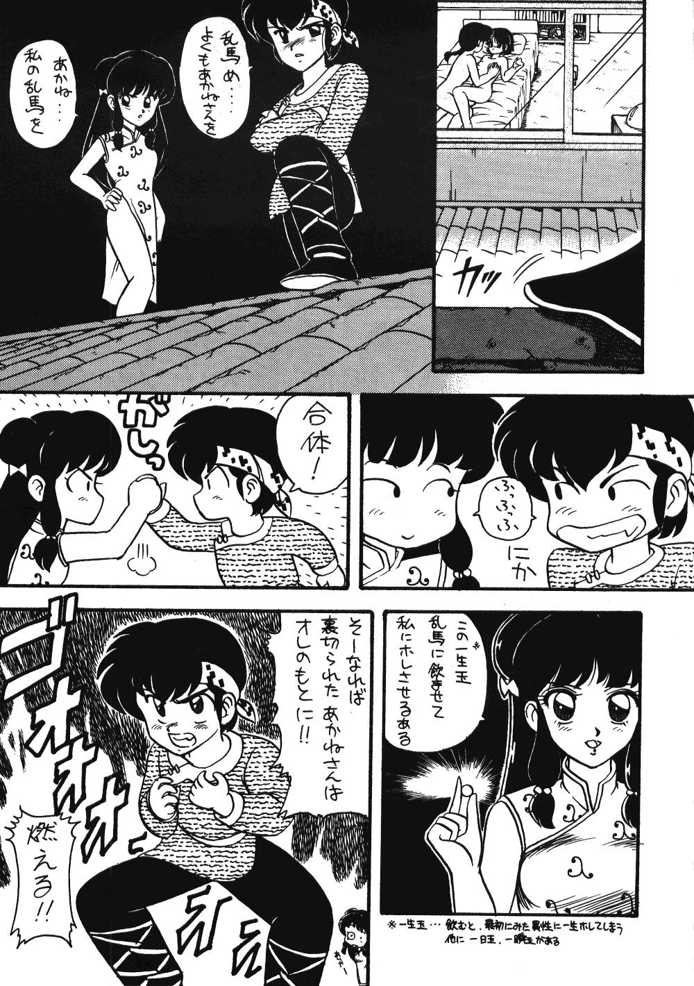 Neko Ranma 31