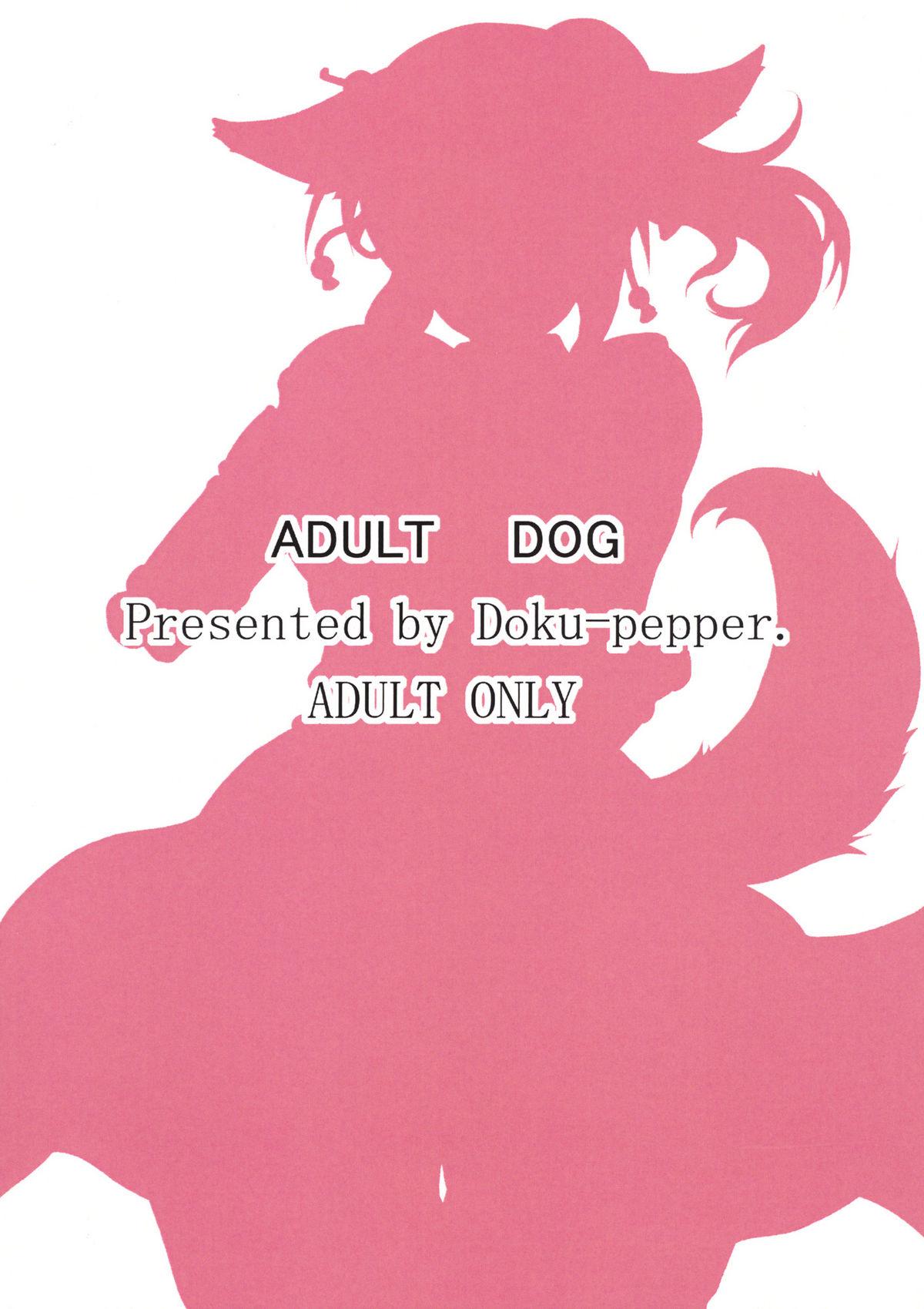 Adult Dog 17