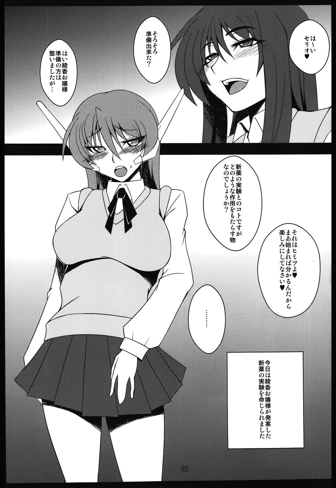 Glamour Ochinchin no Haeta Serio-san wo Ayaka Ojousama ga Yasashiku Ijimeru Hon - To heart Online - Page 3