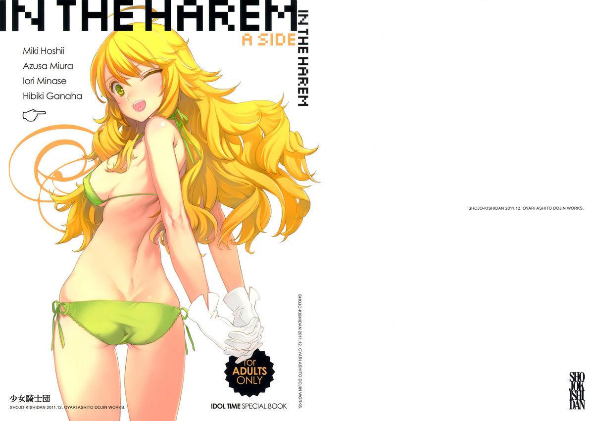IN THE HAREM A SIDE 0