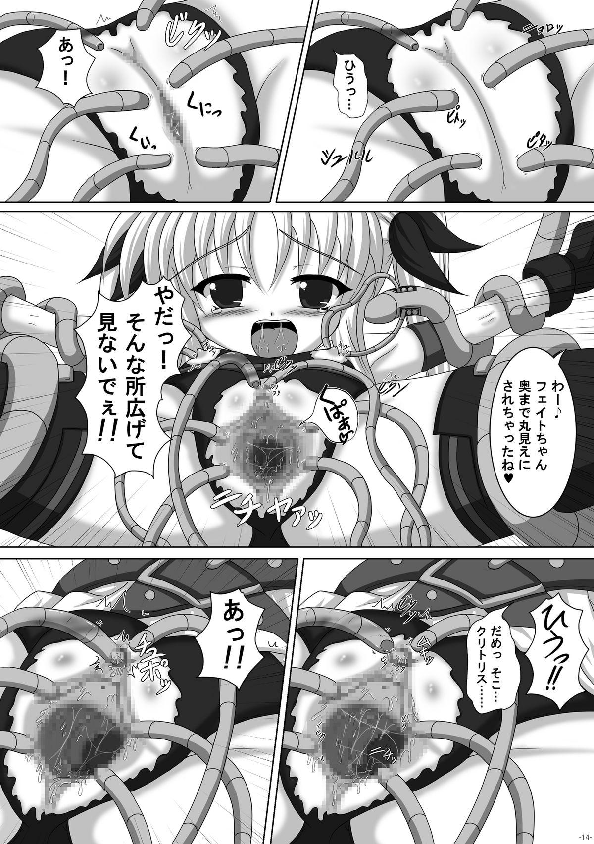 Fate-chan de asonde miyou! 14