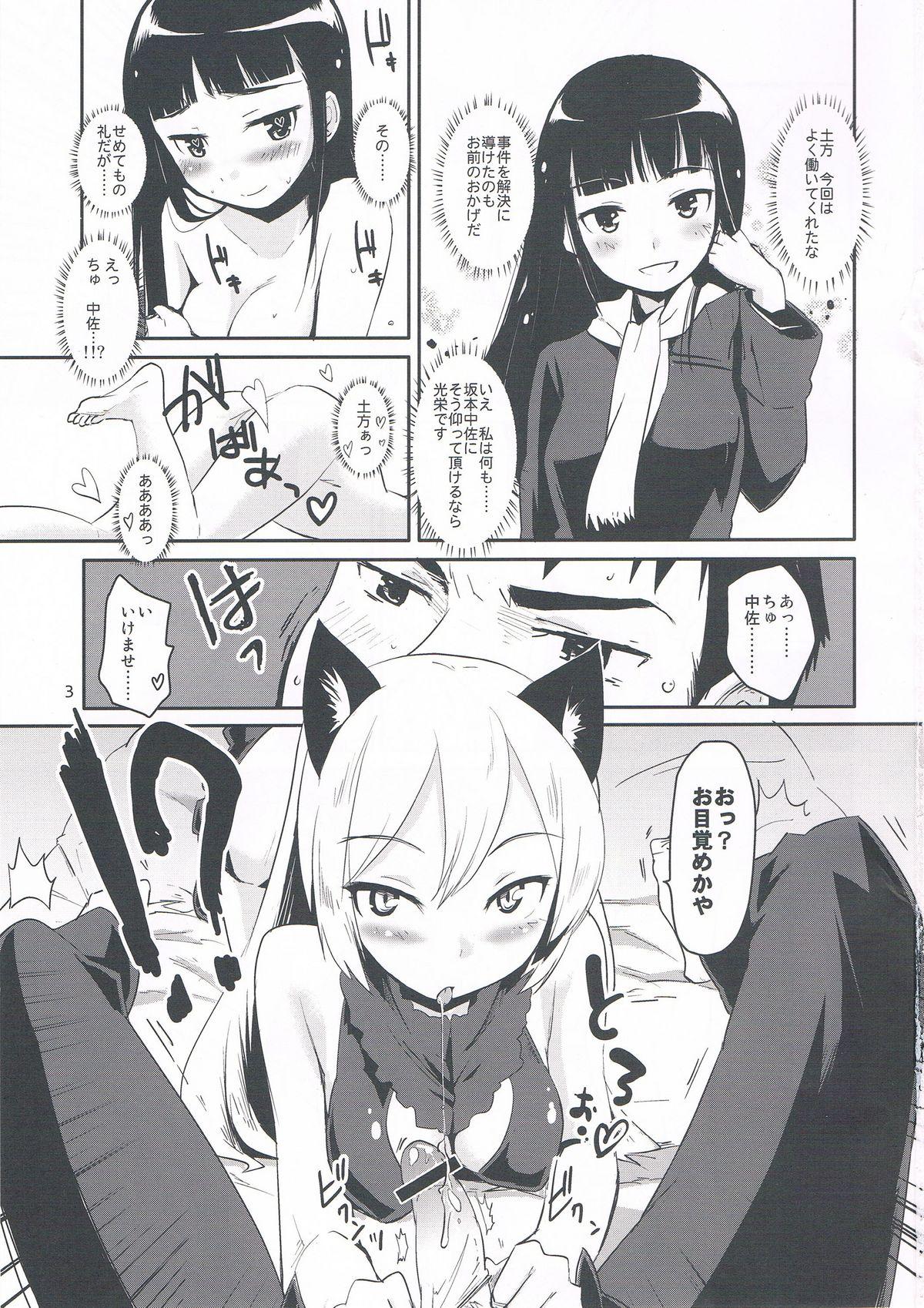 Action WINTER AFFAIR - Strike witches Gilf - Page 3