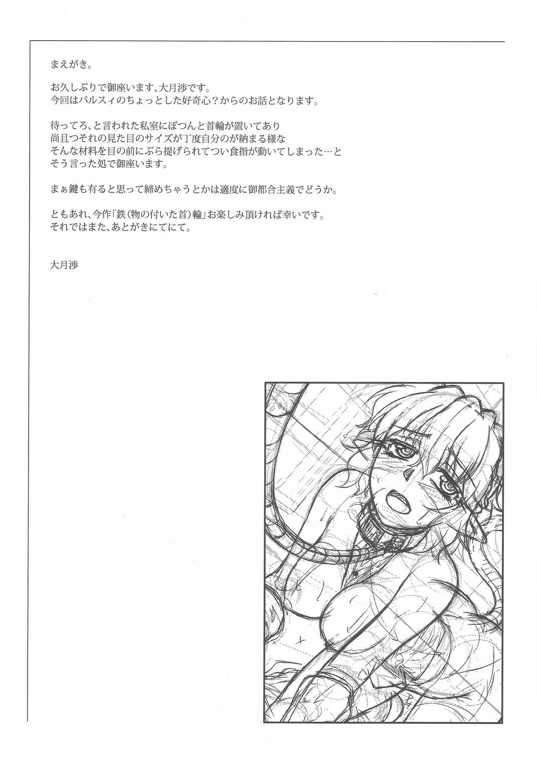 Amateurs (C82) [Kougeki (Ootsuki Wataru)] Tetsu (mono no tsuita kubi) wa (Touhou Project) - Touhou project Animation - Page 7