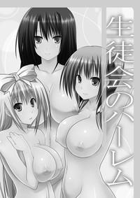 Seitokai no Harem 2