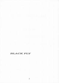 BLACK FLY 2