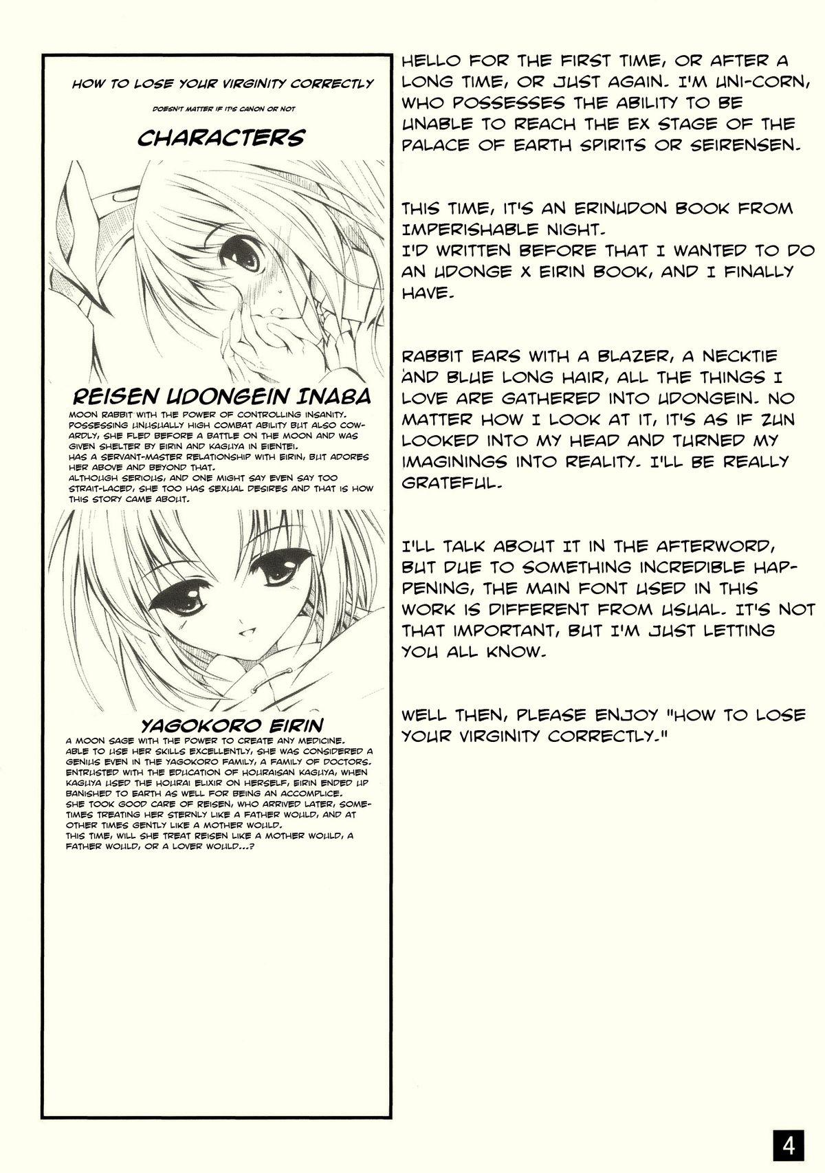 Arrecha Tadashii Hajimete no Nakushikata | How to Lose Your Virginity Correctly - Touhou project Blonde - Page 4