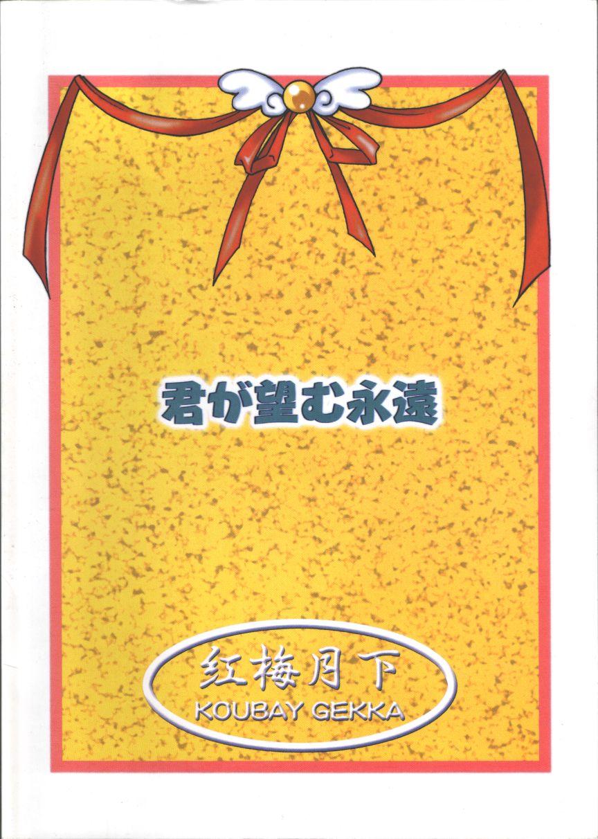 Fake Golden Fish - Kimi ga nozomu eien Cbt - Page 30
